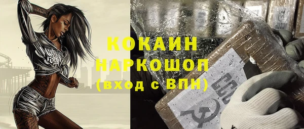 винт Инсар