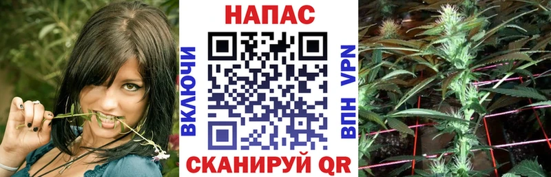 Купить где  Демидов  Бошки марихуана семена 